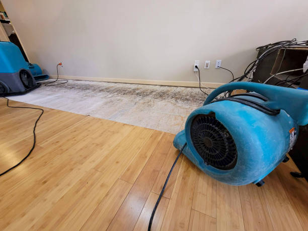 Professional Water Extraction technician working in Savannah, GA
